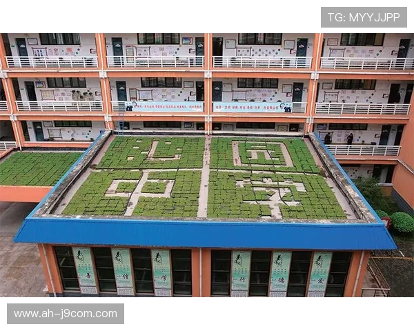 深入解析济源足球培训收费标准与影响因素全景实践指南全方位解读